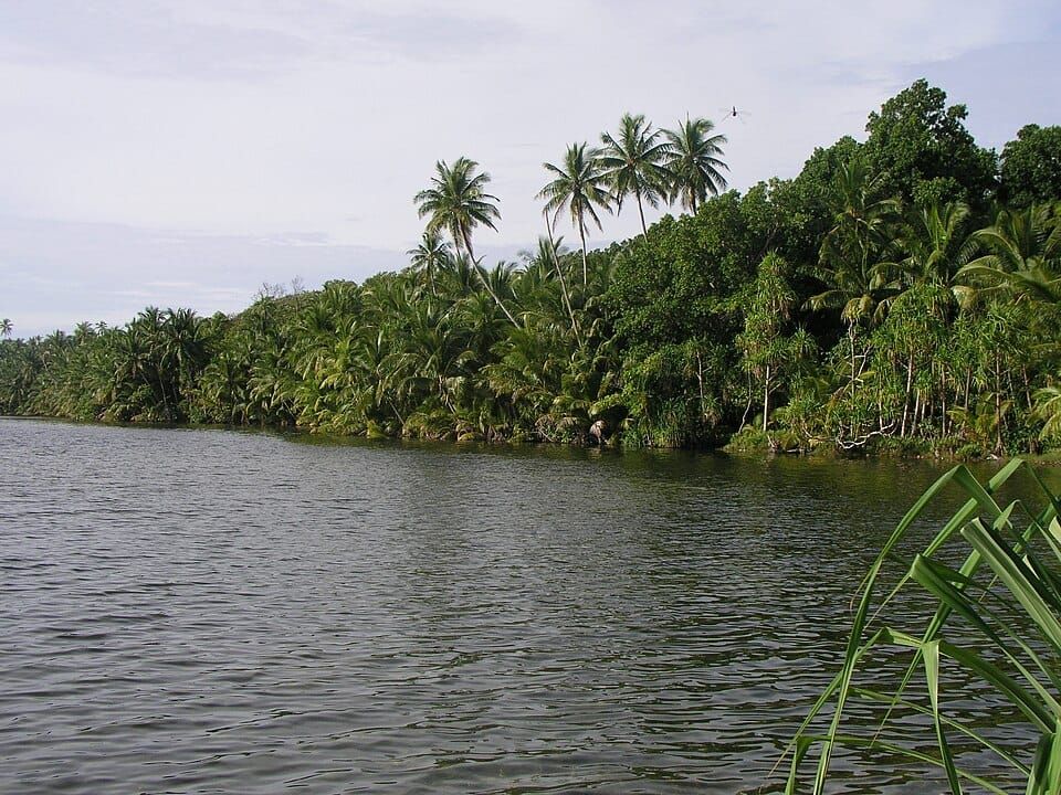 Swains Lake