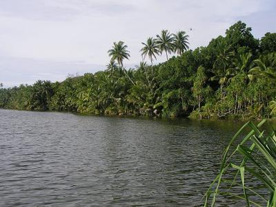 Swains Lake