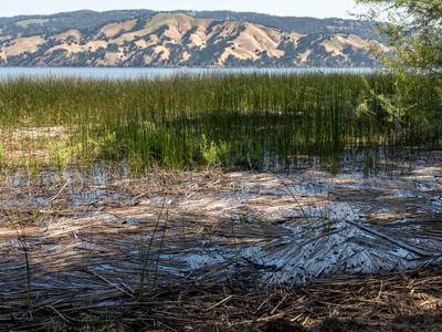 Clear Lake State Park