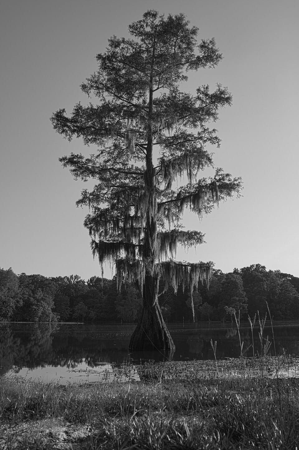 Mayes Lake