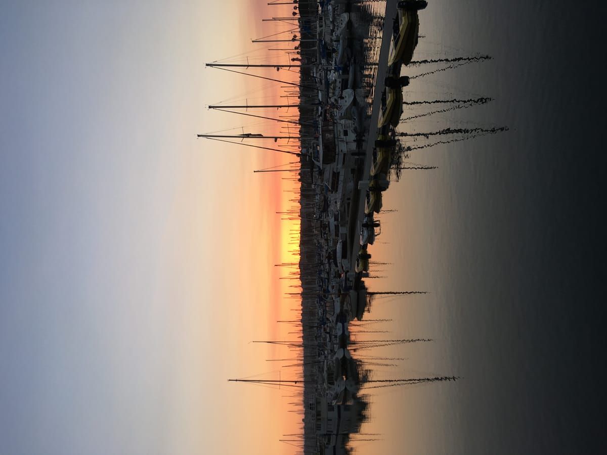Harbor Island Park