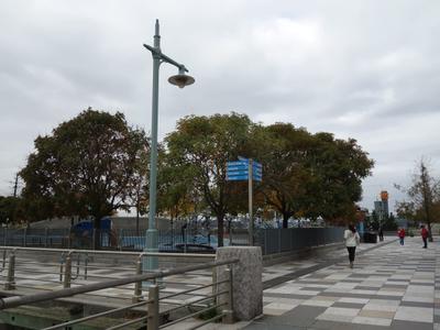 Pier 64 at Hudson River Park