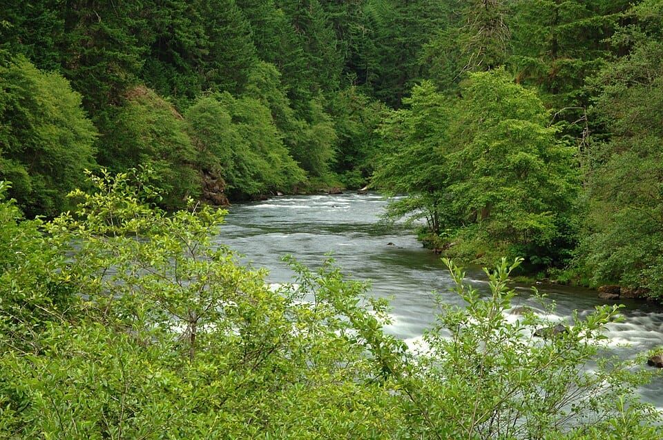 North Umpqua River
