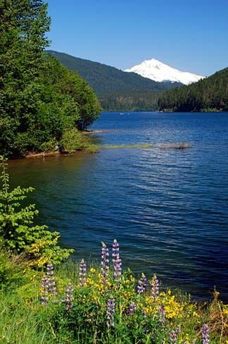 Marion County Lake