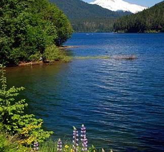 Marion County Lake