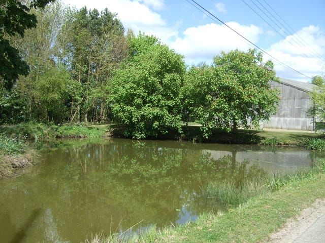 Sampson Pond