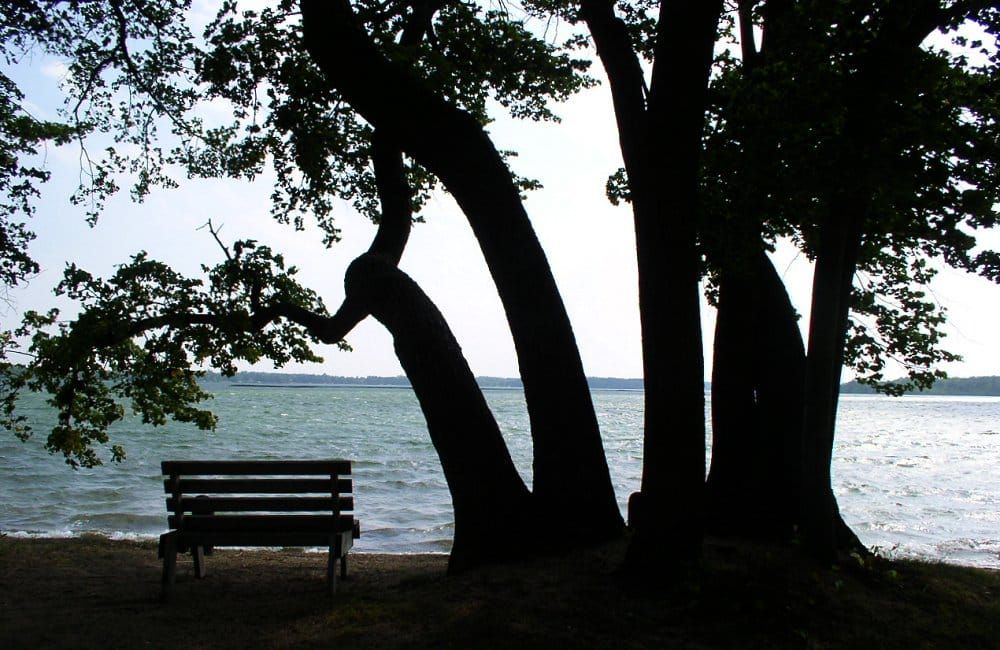 Lake Carlos