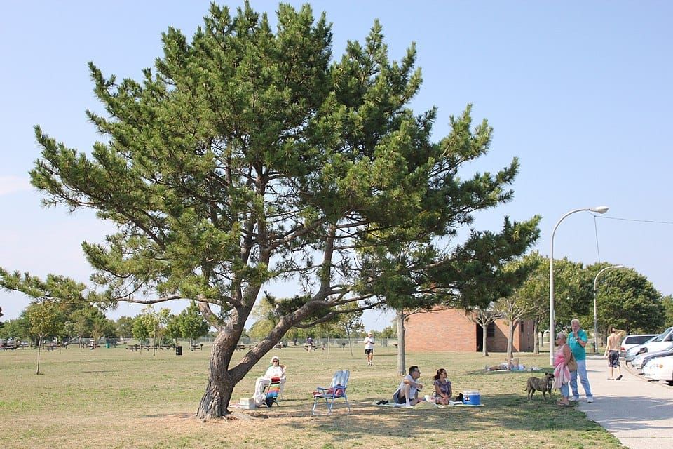 Bay Park