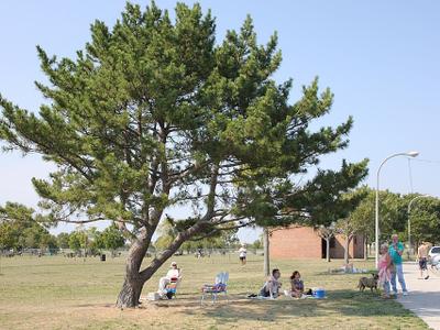 Bay Park