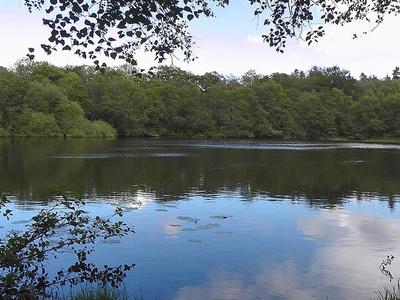 Moans or Drumnahavil Lough