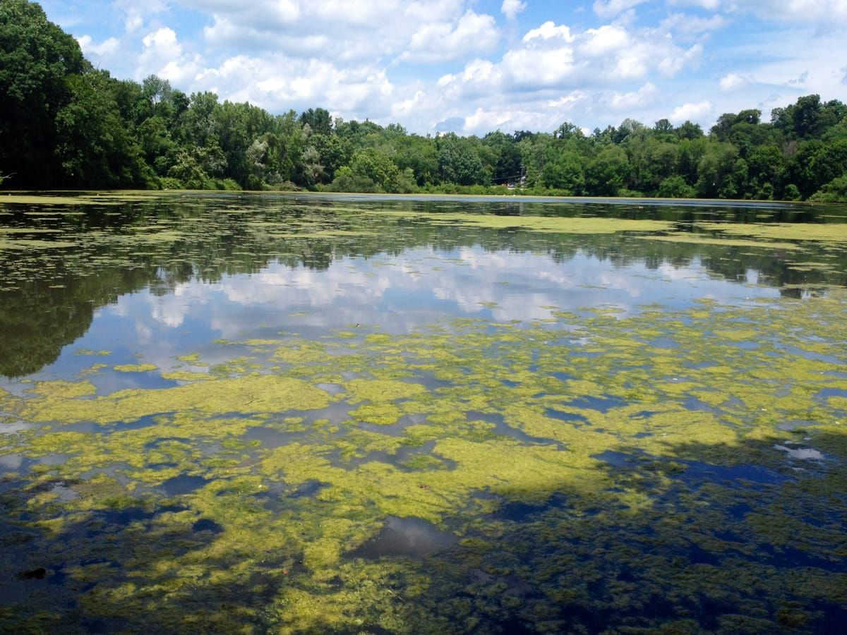 Sparkle Lake Park