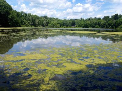 Sparkle Lake Park