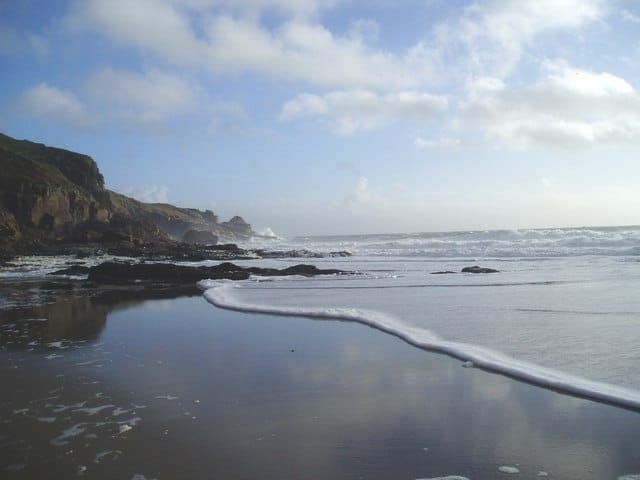 Rinsey