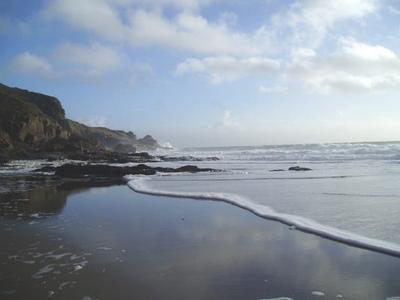 Rinsey