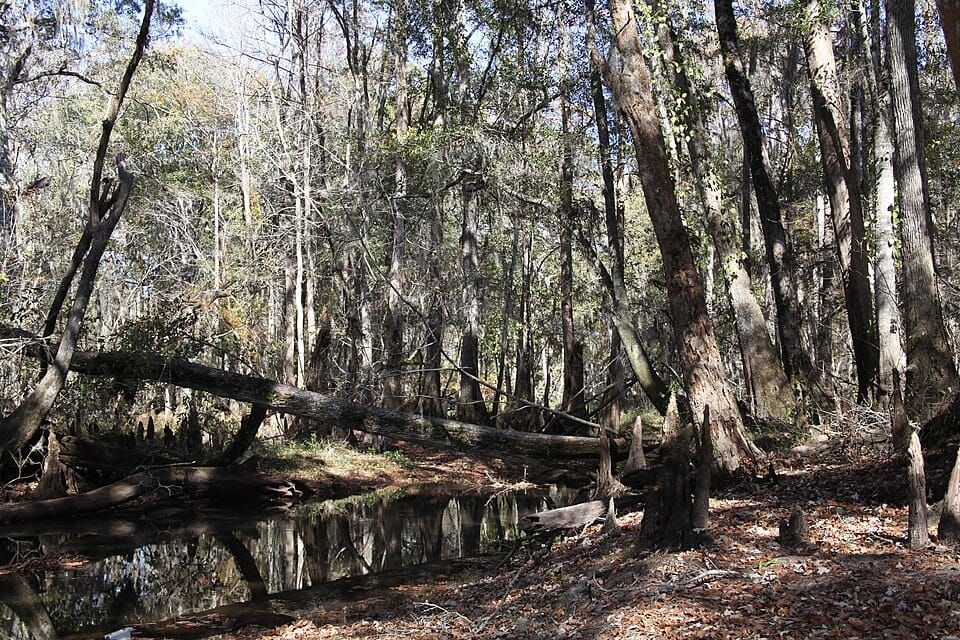 Ever Flowing Spring