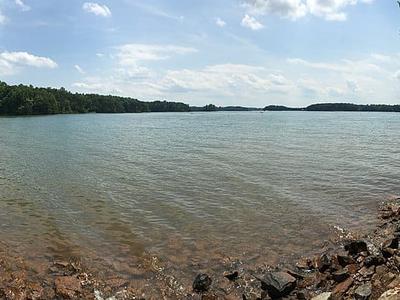 Smith Mountain Lake