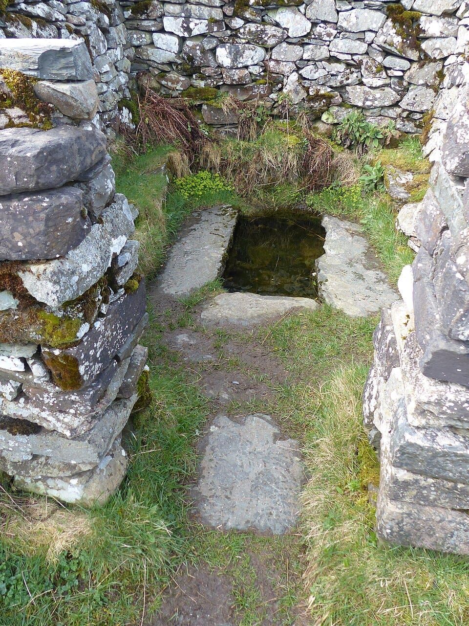 St. Celynin's Well