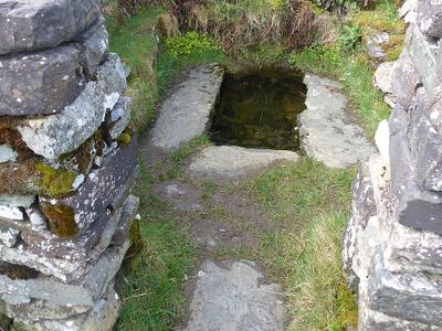 St. Celynin's Well