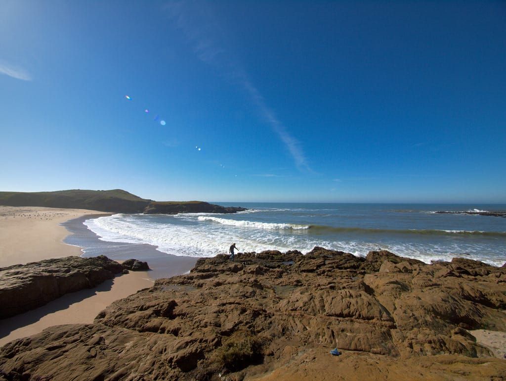 Bean Hollow State Beach