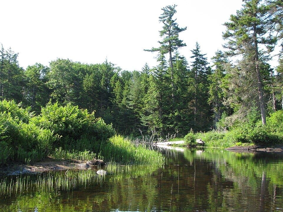 Lake Lila