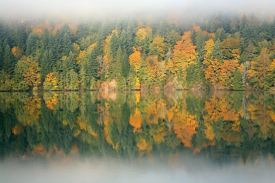 Mayfield Lake