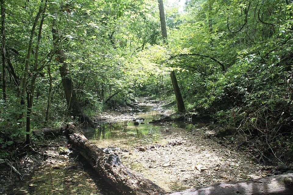 Ozark Creek