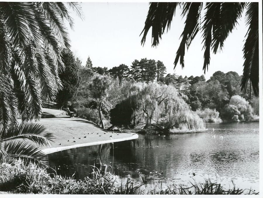 Virginia Lake