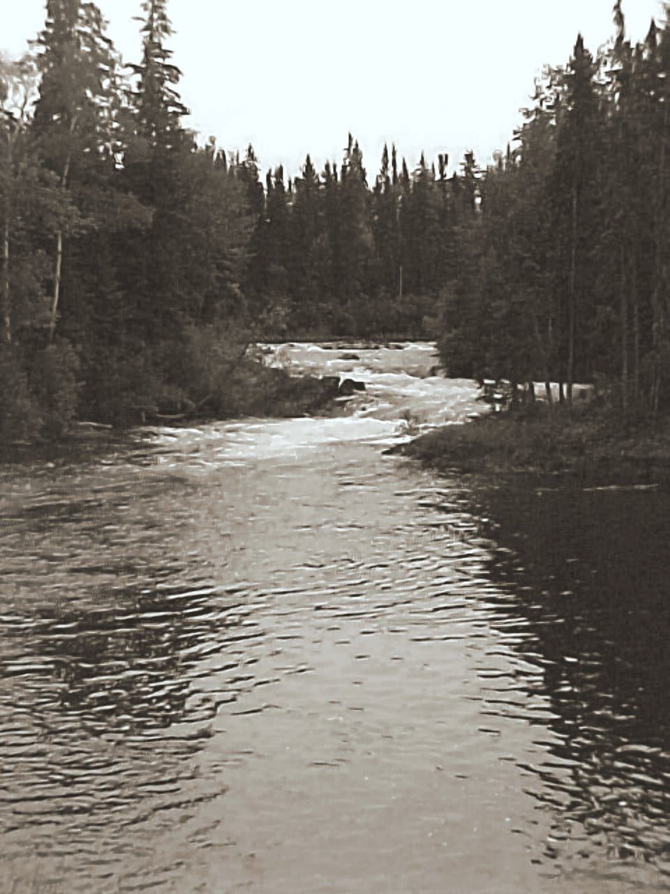 Grass River