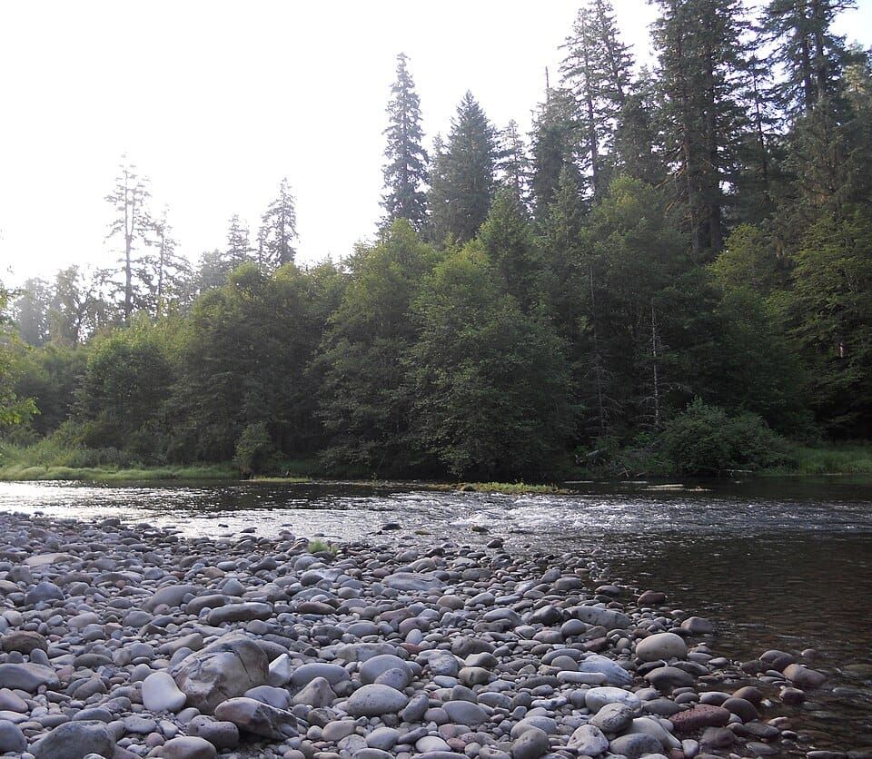 North Fork Middle Fork Willamette River