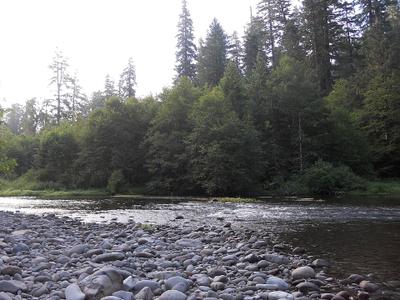 North Fork Middle Fork Willamette River