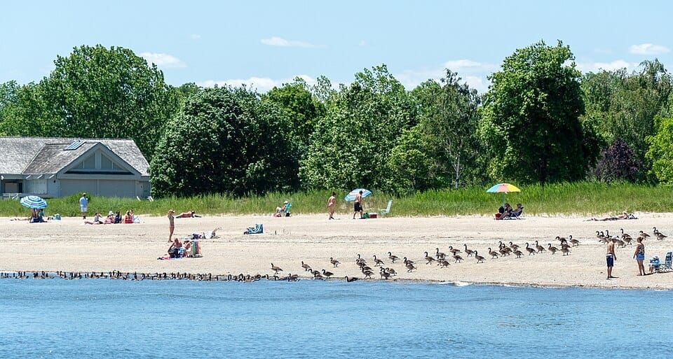 Sherwood Island State Park