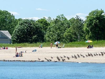 Sherwood Island State Park