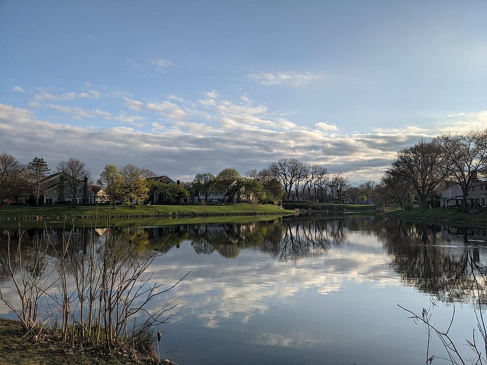 The Old Lake