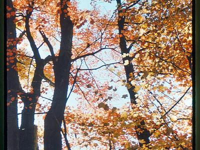 Ashuelot River Park