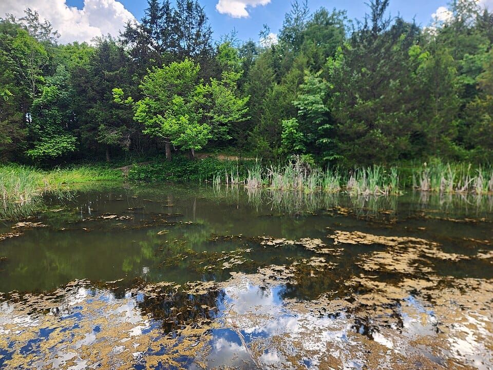 La Clara Lakes