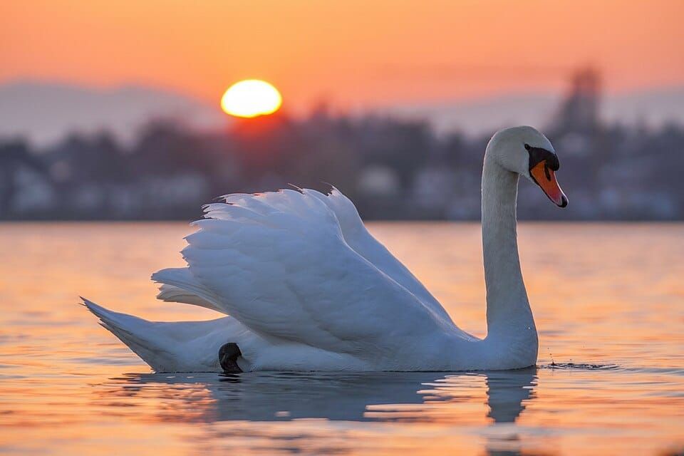 Lake Geneva