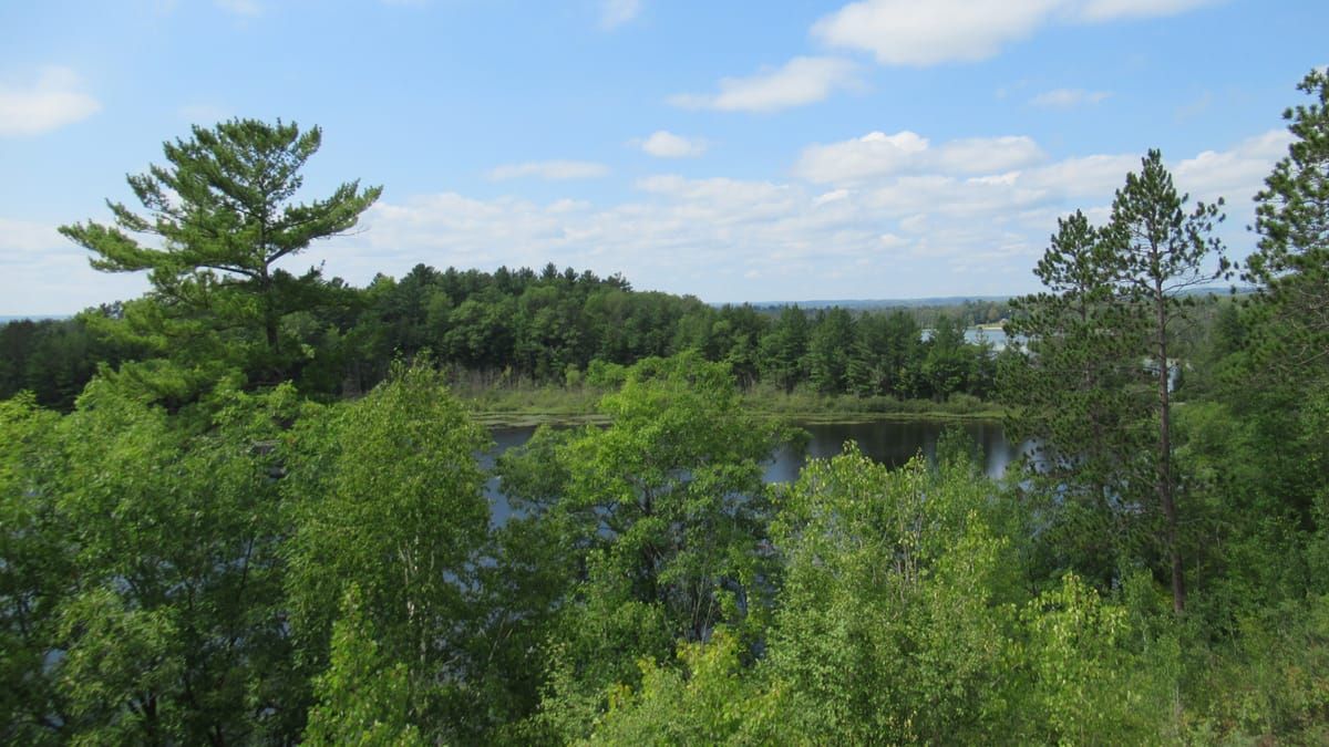 Rifle River Recreation Area
