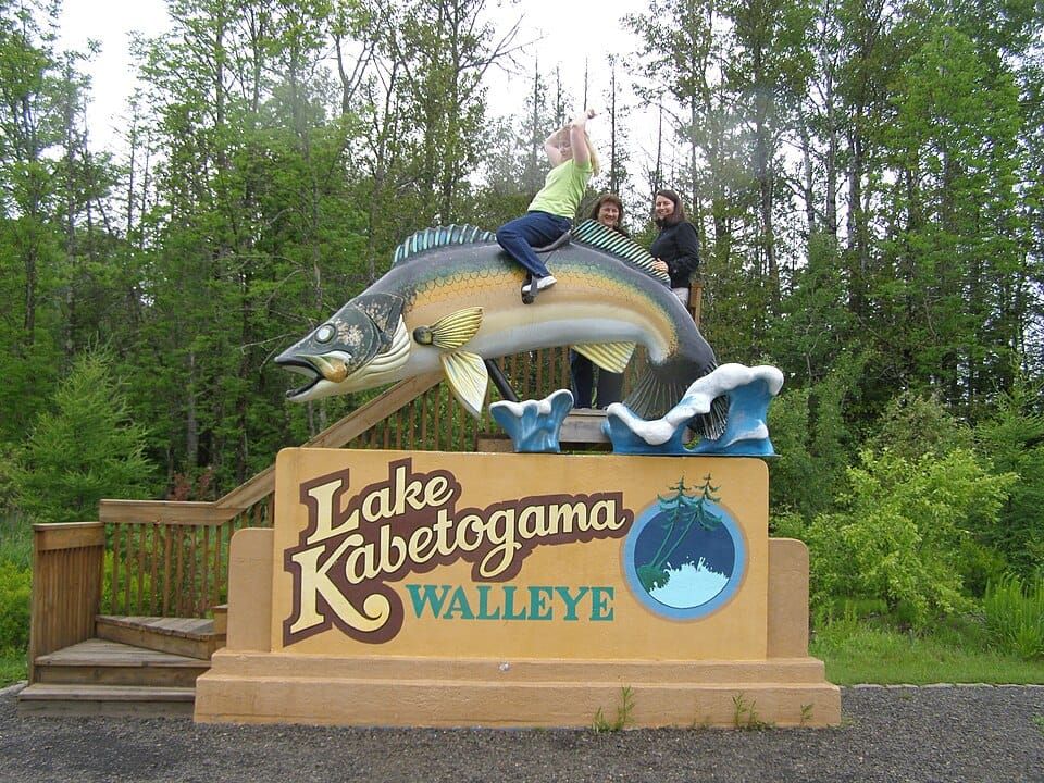 Lake Kabetogama Walleye