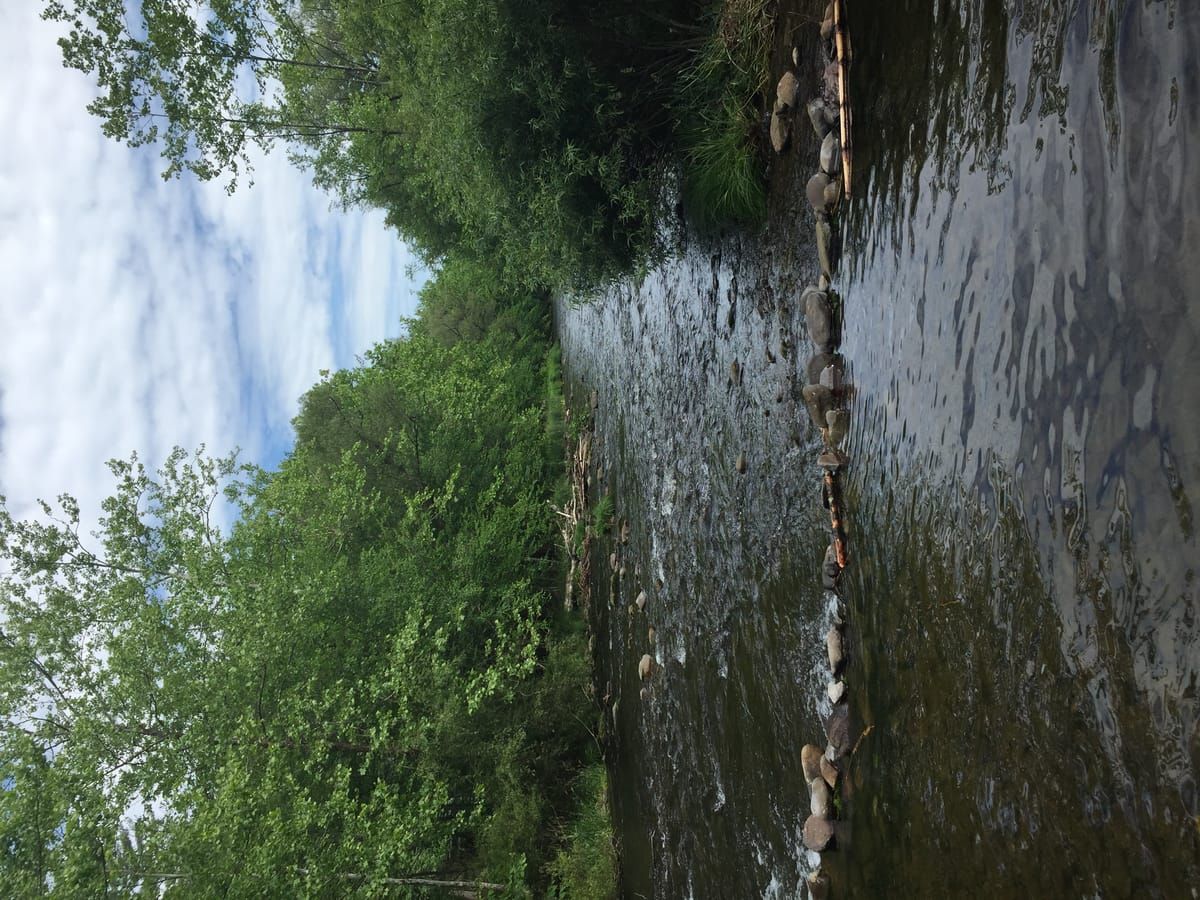 Brodhead Creek