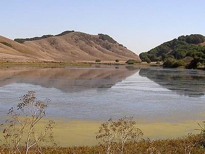 Laguna Lake
