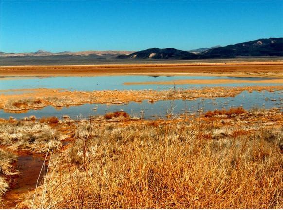 Harpers Lake