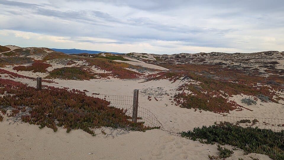 Marina Dunes Preserve