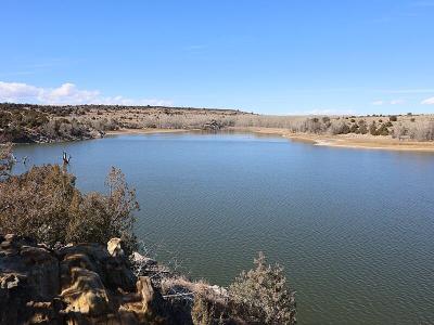 Clayton Lake State Park and Dinosaur Trackways
