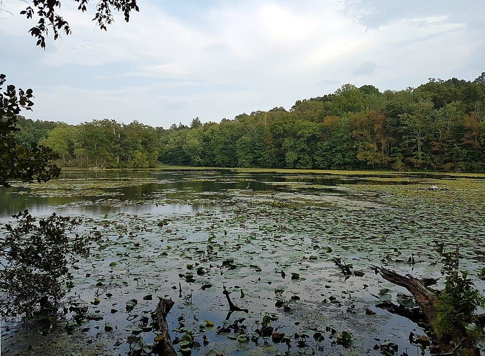 Teatown Lake