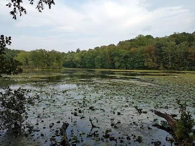 Teatown Lake
