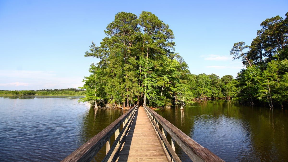 Angelina River