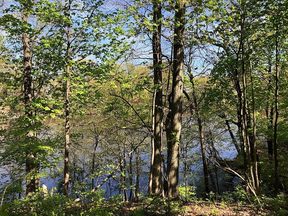 Westons Mill Pond
