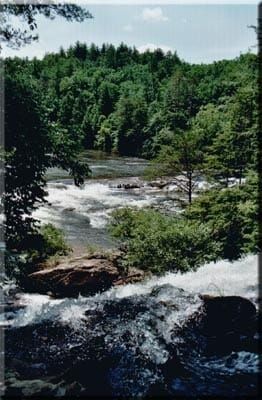 Chattooga River