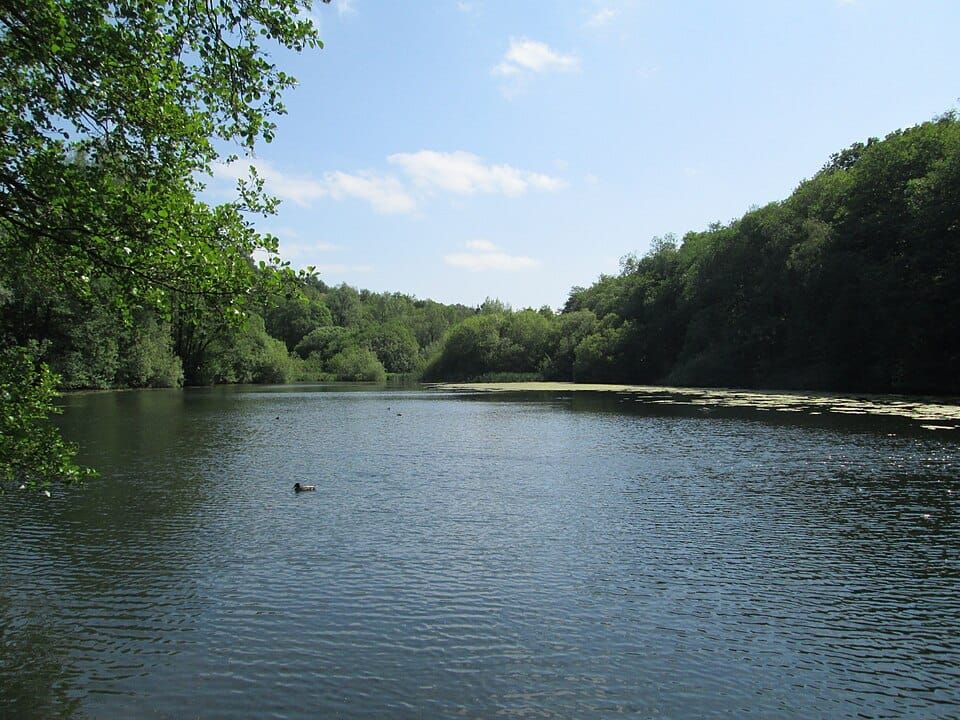Cumberledge Pool