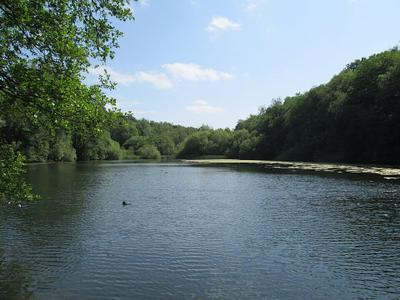 Cumberledge Pool